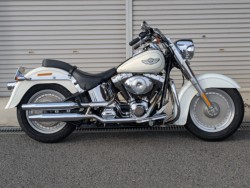 �n�[���[&nbsp;�n�[���[�_�r�b�h�\��FLSTF �t�@�b�g�{�[�C 