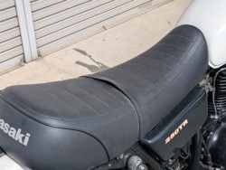 �J���T�L250TR�i���쌧��o�s�j�摜9