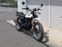 �J���T�L250TR�i���쌧��o�s�j�摜13