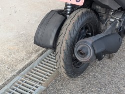 �X�Y�L�A�h���XV125G�i���쌧��o�s�j�摜4