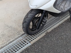 �X�Y�L�A�h���XV125G�i���쌧��o�s�j�摜15