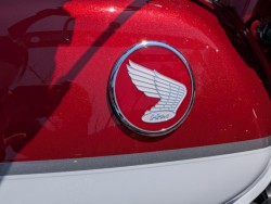 �z���_�����L�[125�i���쌧�����s�j�摜25