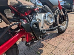 �z���_�����L�[125�i���쌧�����s�j�摜44