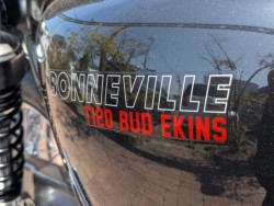 �g���C�A���t�g���C�A���t�E�{���l�r��T120�i���쌧�����s�j�摜51