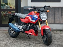 �z���_�O�����i���쌧���̌S�F���Ò��j�摜2