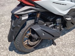 �z���_�t�H���c�@�i���쌧���̌S�F���Ò��j�摜6