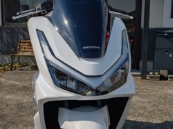 �z���_PCX�i���쌧���̌S�F���Ò��j�摜6