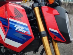 �z���_�O�����i���쌧���̌S�F���Ò��j�摜6