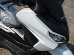 �z���_�t�H���c�@�i���쌧���̌S�F���Ò��j�摜15
