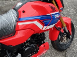 �z���_�O�����i���쌧���̌S�F���Ò��j�摜8