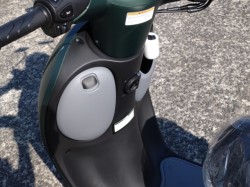 �z���_�W�����m�i���쌧���̌S�F���Ò��j�摜10