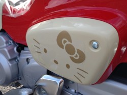 �z���_�X�[�p�[�J�u110�i���쌧���̌S�F���Ò��j�摜10