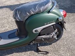 �z���_�W�����m�i���쌧���̌S�F���Ò��j�摜11