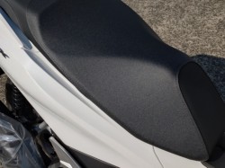 �z���_PCX�i���쌧���̌S�F���Ò��j�摜11