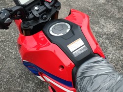 �z���_�O�����i���쌧���̌S�F���Ò��j�摜11
