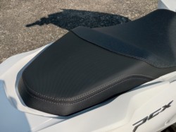 �z���_PCX�i���쌧���̌S�F���Ò��j�摜12