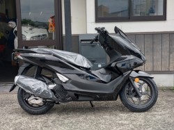 z_ PCX 