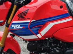 �z���_�O�����i���쌧���̌S�F���Ò��j�摜13
