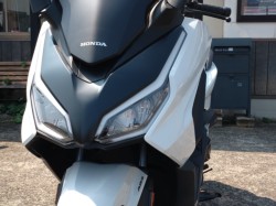 �z���_�t�H���c�@�i���쌧���̌S�F���Ò��j�摜16