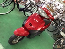 �z���_�^�N�g�E�x�[�V�b�N�i���Q�����R�s�j�摜1