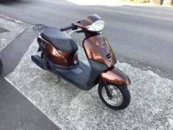 �z���_&nbsp;�^�N�g�E�x�[�V�b�N 