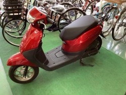 �z���_�^�N�g�E�x�[�V�b�N�i���Q�����R�s�j�摜2