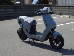 �W���O