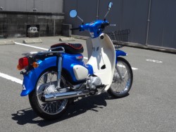 �z���_�X�[�p�[�J�u110�i�����������s�j�摜2