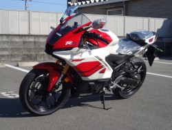 ���}�nYZF-R25�i�����������s�j�摜3