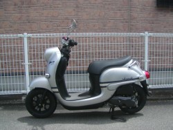 ���}�n�r�[�m�i�����������s�j�摜2