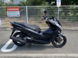 z_ PCX 