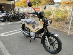 �z���_�N���X�J�u110�i���Q�����R�s�j�摜2