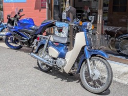 �z���_&nbsp;�X�[�p�[�J�u50�iAA09�j 