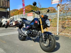 �z���_�O�����i���Q�����R�s�j�摜2