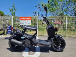 �z���_�Y�[�}�[�i���Q�����R�s�j�摜2