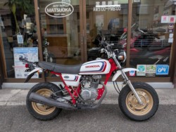 �z���_�G�C�v100�i���Q�����R�s�j�摜2