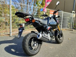 �z���_�O�����i���Q�����R�s�j�摜3