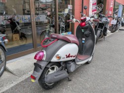 ���}�n�r�[�m�i���Q�����R�s�j�摜3