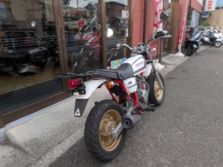 �z���_�G�C�v100�i���Q�����R�s�j�摜3
