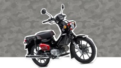 �z���_�N���X�J�u110�i���Q�����R�s�j�摜30