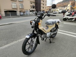 �z���_�N���X�J�u110�i���Q�����R�s�j�摜4