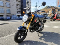 �z���_�O�����i���Q�����R�s�j�摜4