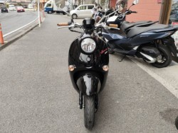 ���}�n�r�[�m�i���Q�����R�s�j�摜4