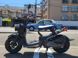 �z���_�Y�[�}�[�i���Q�����R�s�j�摜4