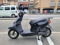 �z���_�^�N�g�E�x�[�V�b�N�i���Q�����R�s�j�摜4