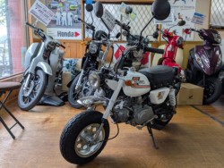 �z���_�����L�[�i���Q�����R�s�j�摜4