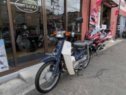 �z���_�X�[�p�[�J�u50�i���Q�����R�s�j�摜4