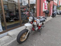 �z���_�G�C�v100�i���Q�����R�s�j�摜4