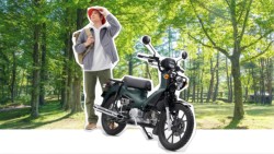 �z���_�N���X�J�u110�i���Q�����R�s�j�摜31