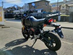 �z���_�O�����i���Q�����R�s�j�摜5